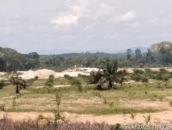 Lapor Pak Kapolda! Aliran Sungai Singingi Didesa Sungai Paku Marak Aktifitas PETI