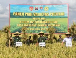 Panen Padi Protani, Korem 071/Wijayakusuma Sinergi dengan Unsoed Purwokerto Dukung Ketahanan Pangan Nasional
