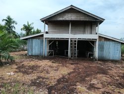 Warga Desa Sungai Linau Tagih Janji Kejari Bengkalis Keberadaan DPO Terpidana Paijo Riswandi: Bebas Berkeliaran terkesan Kebal Hukum