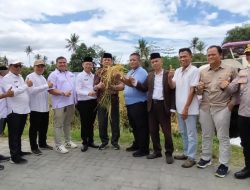 Panen 10 Hektar Padi Unggulan PS-08 Jadi Bukti Nyata Revolusi Pertanian di Banten