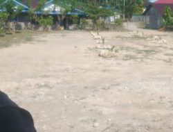 DKP Provinsi Sulteng Menuai Kecaman dan Kecurigaan Publik Meluas