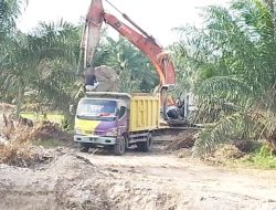 Galian C Ilegal di Desa Perjuangan Diduga Kebal Hukum: Aktivis Desak Kapolda Sumut Turun Tangan