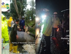 BPBD bersama Dinas Perkim LH dan Satlantas Batu Bara Laksanakan Penanganan Darurat Pohon Tumbang, Warga Diimbau Tetap Waspada