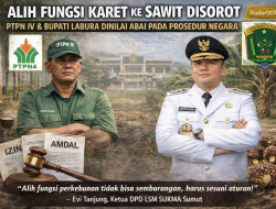 Alih Fungsi Karet ke Sawit Disorot, Manajemen PTPN IV dan Bupati Labura Dinilai Abai pada Prosedur Negara