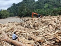 Prof Dr Sutan Nasomal: Presiden RI harus Waspada “Reaksi Alam Sampai Bencana Hujan Mikroplastik Indonesia”