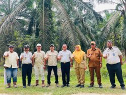 Optimalisasi Aset Negara, Kalapas Labuhan Ruku Tinjau Lahan dan Rencana Penumbangan Sawit di Air Joman