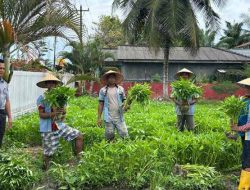 Panen 150 Kg Kangkung, Lapas Labuhan Ruku Tegaskan Komitmen Dukung Ketahanan Pangan