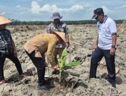 Dari Lahan Tidur ke Lahan Subur: Lapas Labuhan Ruku Tanam 500 Bibit Pisang, Perkuat Ketahanan Pangan dan Kemandirian WBP