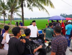 Dukung Ekonomi Kreatif Tingkat Desa, Bupati Batu Bara Kunjungi Sawah Viral Bahagia