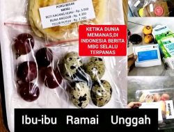 Label Harga di Program MBG Jadi Sorotan: Transparansi Anggaran atau Sumber Tanda Tanya?