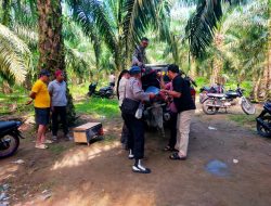 Polsek Pulau Raja Bongkar Barak Diduga Sarang Narkoba di Aek Loba Pekan, Satu Orang Diamankan