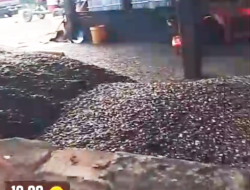 Gudang PKO Ilegal di Petatal “Kebal Hukum”! Aktivitas Terang-Terangan, Negara Terancam Rugi Miliaran