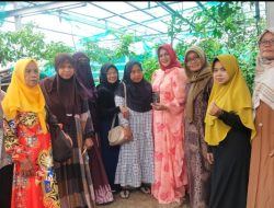 KPPG Kab. Bekasi Dorong Ketahanan Pangan dan Ekonomi Perempuan Lewat Gerakan Tanam Palawija dan Penguatan UMKM