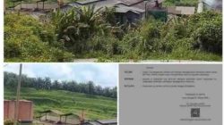 Keputusan Pemerintah Diduga Tak Digubris, Aktivitas PT Ensem Lestari Project Masih Berjalan