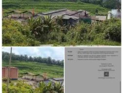 Keputusan Pemerintah Diduga Tak Digubris, Aktivitas PT Ensem Lestari Project Masih Berjalan