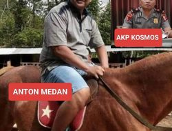 Diduga Jadi ‘Tameng’ Bisnis Haram di Siak, AKP Kosmos Didesak PTDH: Judi Gelper, CPO Ilegal hingga Illegal Logging Marak