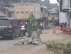 Jalan Bergas Rusak Parah Diduga Digilas Truk Tambang, Warga Tanam Pohon Pisang sebagai Sindiran Keras