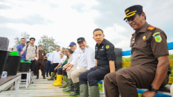 Bupati Batu Bara Pimpin Penanaman Mangrove dan Tinjau Pembangunan Kawasan Nelayan Modern