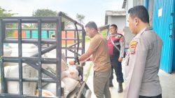 Polres Batu Bara Konsisten Dukung Program Ketahanan Pangan, Distribusi Jagung Ke Bulog Asahan Capai 274,182 Ton
