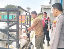 Polres Batu Bara Konsisten Dukung Program Ketahanan Pangan, Distribusi Jagung Ke Bulog Asahan Capai 274,182 Ton