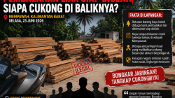 Ratusan Balok Kayu Diduga Hasil Pembalakan Liar Siap Diolah, Siapa Cukong di Baliknya?