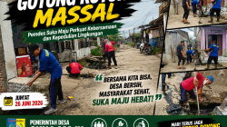 Gotong Royong Massal, Pemdes Suka Maju Perkuat Kebersamaan dan Kepedulian Lingkungan
