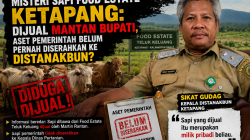 Terungkap! Distanakbun Sebut Sapi yang Dijual Martin Rantan Milik Pribadi, Publik Minta Audit Food Estate