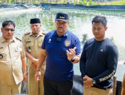Hadiri Panen Raya di Gambus Laut, Bupati Batu Bara Dukung Pengembangan Budidaya Udang Vaname