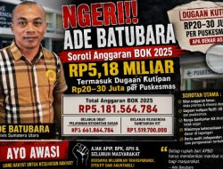 Anggaran BOK Madina Rp5,18 Miliar Jadi Sorotan, Ade Batubara Desak APH dan BPK Telusuri Dugaan Kutipan Rp20–30 Juta