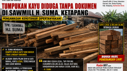 Tumpukan Kayu Diduga Tanpa Dokumen di Ketapang, Pengawasan Kehutanan Dipertanyakan