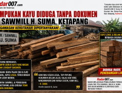 Tumpukan Kayu Diduga Tanpa Dokumen di Ketapang, Pengawasan Kehutanan Dipertanyakan