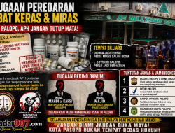 AGMAS dan JAM Indonesia Soroti Dugaan Peredaran Obat Keras di Palopo, Desak APH Bertindak Tanpa Tebang Pilih