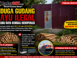 Diduga Gudang Kayu Ilegal di Kubu Raya Beroperasi Terang-Terangan, APH Diminta Bertindak Tanpa Tebang Pilih