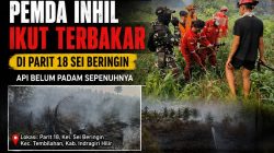 Puluhan Hektare Lahan Diduga Aset Pemda Inhil Terbakar, Parit 18–19 Sei Beringin Disorot: Siapa Bertanggung Jawab?