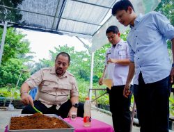 Lihat Potensi 800 Ribu Bibit Aren, Bupati Baharuddin Siapkan Pengembangan Komoditas Aren di Batu Bara