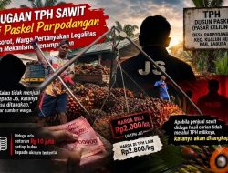 TPH Sawit di Paskel Parpodangan Kembali Disorot, “JS” Jawab Singkat