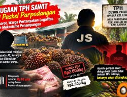 TPH Sawit Paskel Parpodangan Disorot, Warga Pertanyakan Legalitas dan Dugaan Penampungan Sawit Bermasalah