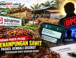 TPH Sawit Paskel Kembali Disorot, Perusahaan Klaim Kehilangan Besar